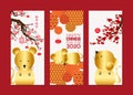 Vertical Hand Drawn Banners Set with Chinese New Year Rat. Chinese characters mean Happy New Year Royalty Free Stock Photo