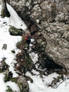 Vertical high angle shot of a person climbing cliffs during winter