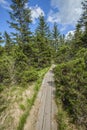 Vertical high angle shot of a wooden trail near the Ribnica lake in the Pohorje hills in Slovenia Royalty Free Stock Photo