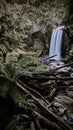 Vertical of the Hopetoun Falls around green woods in Victoria, Australia Royalty Free Stock Photo