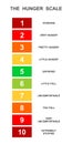 Vertical hunger scale. Food fullness level. Ghrelin and leptin balance meter. Appetite regulation infographic for weight