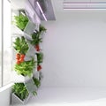 Modern Hydroponic Vertical Farm Wall Background Royalty Free Stock Photo