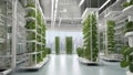 Vertical hydroponic farming in a high-tech skyscraper including hydroponic shelves in an agricultural greenhouse