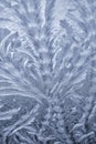 Vertical iceflower background, floral frost design on frozen glass Royalty Free Stock Photo