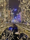 VERTICAL: Idyllic shot of Christmas lights above the three bridges of Ljubljana.