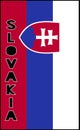 Vertical illustration of the flag of Slovakia