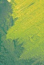 Vertical illustration of a light green gradient on a mud texture