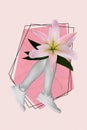 Vertical illustration photo collage of bodyless woman legs lily instead of body spa salon advert isolated on pink Royalty Free Stock Photo