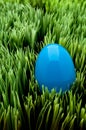 Vertical image of a blue Easter egg Royalty Free Stock Photo
