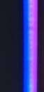 Vertical image of blue mauve fluorescent light with space for copy