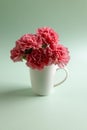 Vertical image of bunch of pink carnation flowers in white mug with copy space on green background Royalty Free Stock Photo