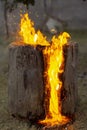 Vertical image of a burning log creating a fiery background Royalty Free Stock Photo