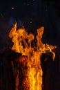 Vertical image of a burning log creating a fiery background Royalty Free Stock Photo