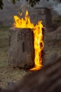 Vertical image of a burning log on grass Royalty Free Stock Photo