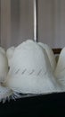 Vertical image of Close-up of rows of woven panama hats before shaped or dyed, hat making, Montecristi panama hat Royalty Free Stock Photo