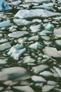 Vertical image of dirty water with pieces of ice in it Royalty Free Stock Photo