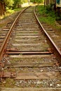 Vertical image of empty railroad tracks in the countryside Royalty Free Stock Photo