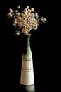 Vertical image of field dried flowers in a green ceramic vase on a black isolated background Royalty Free Stock Photo