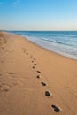 Footprints on beach sand in Florida.