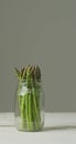Vertical image of fresh stalks of asparagus in glass jar on grey background Royalty Free Stock Photo