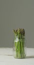 Vertical image of fresh stalks of asparagus in glass jar on grey background Royalty Free Stock Photo