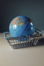 Vertical image. Globe in shopping basket