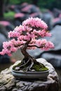 vertical image of a graceful pink bonsai tree on a stone on a blurred background