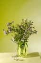 Vertical image.Green glass vase and bouquet of New York asters on the table against wall.Abstract yellow light