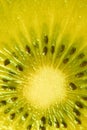 Vertical Image of Kiwi Fruit Cross Section in Vivid Yellow Color for Background Royalty Free Stock Photo