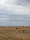 Vertical Image of Large Round Hay Bales in Field with Gray Clouds Overhead Royalty Free Stock Photo