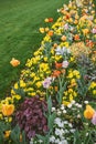 Vertical image with long flowers alley In bloom flower bed with tulips