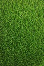 Vertical Image of Lush Green Grass Lawn for Background Royalty Free Stock Photo