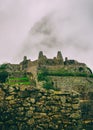 Vertical view of ancient ruins and clouds. Royalty Free Stock Photo