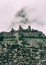 Vertical view of a stone city lost in nature. Royalty Free Stock Photo