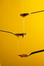 Vertical image of maple syrup dripping between three spoons, on yellow background with copy space