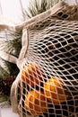 Vertical image of net bag, chrsitmas fir tree branches and oranges, copy space on white background