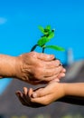 Vertical image.Old caucasian grandma Giving Young Plant To A Child - New Life To New Generation Royalty Free Stock Photo