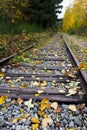 Old Abandoned Railway Tracks and Autumn Leaves Royalty Free Stock Photo