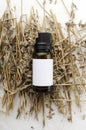 Vertical image.One brown bottle of lavender oil on the dried flowers, white surface Royalty Free Stock Photo