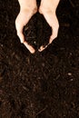 Vertical image of a pair of hands cupping dark rich peat soil and bark pieces Royalty Free Stock Photo