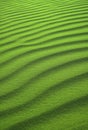 Vertical image of pop art style vivid green colored desert sand ripple patterns Royalty Free Stock Photo