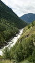 Vertical image. River Chulcha, green hills and mountains. Summer trip to the Altai