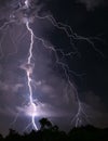 Vertical Image of Scary Real Lightning Striking over the Forest at Night