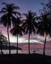 Vertical image of scenic beach with silhouettes of palm trees against a sunset sky Royalty Free Stock Photo