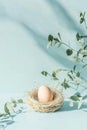 vertical image simple Easter setup with a single egg in a straw nest, surrounded by soft greenery and set on a pale blue surface Royalty Free Stock Photo