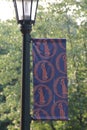 Vertical image of a street light with flag of University of Virginia in Charlottesville.