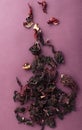 Vertical image.Top view of dried hibiscus calyces on the wine color background Royalty Free Stock Photo