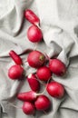 Vertical image.Top view of fresh ripe radish on the grey napkin