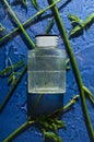 Vertical image.Top view of glass bottle of aromatic liquid for beauty treatments on the dark blue wet background, mint leaves and Royalty Free Stock Photo