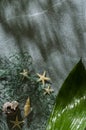 Vertical image.Top view of lush wet green leave, fishing net, starfishes, shells on the grey surface.Empty space.Tree shadows